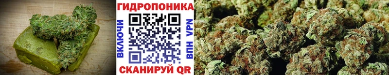 Canna-Cookies марихуана  как найти закладки  Зеленодольск 
