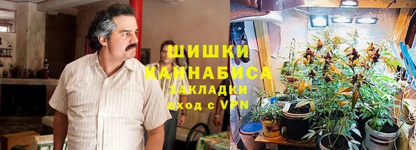 дживик Абаза