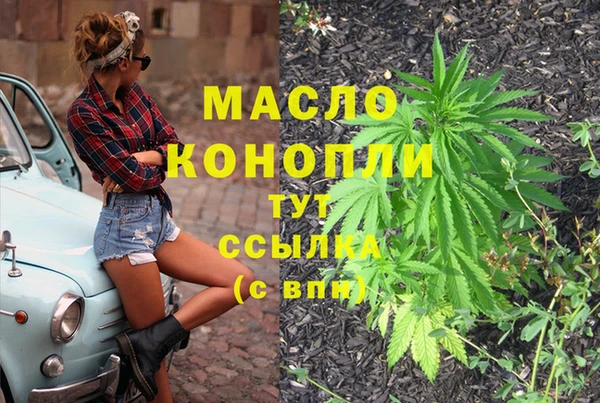 дживик Абаза