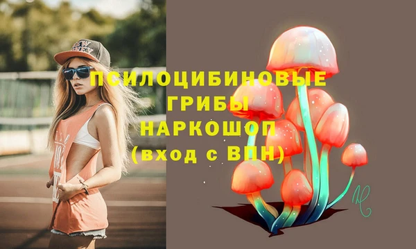 дживик Абаза