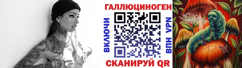 купить наркоту Зеленодольск Галлюциногенные грибы Psilocybine cubensis