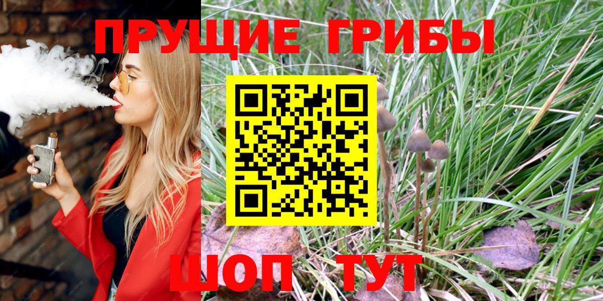 Зеленодольск  где продают наркотики  Вход с VPN  Псилоцибиновые грибы ЛСД 