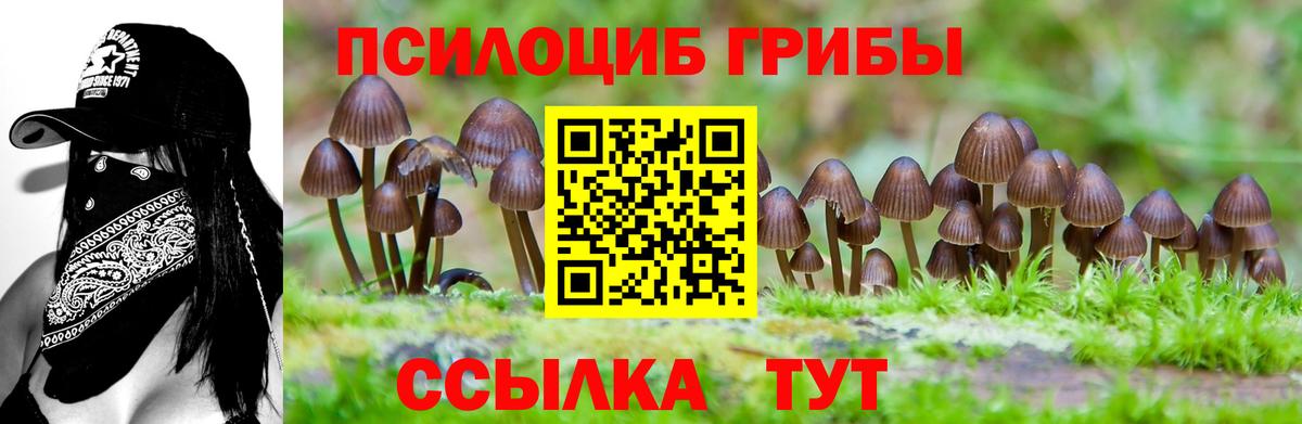 Галлюциногенные грибы прущие грибы Зеленодольск